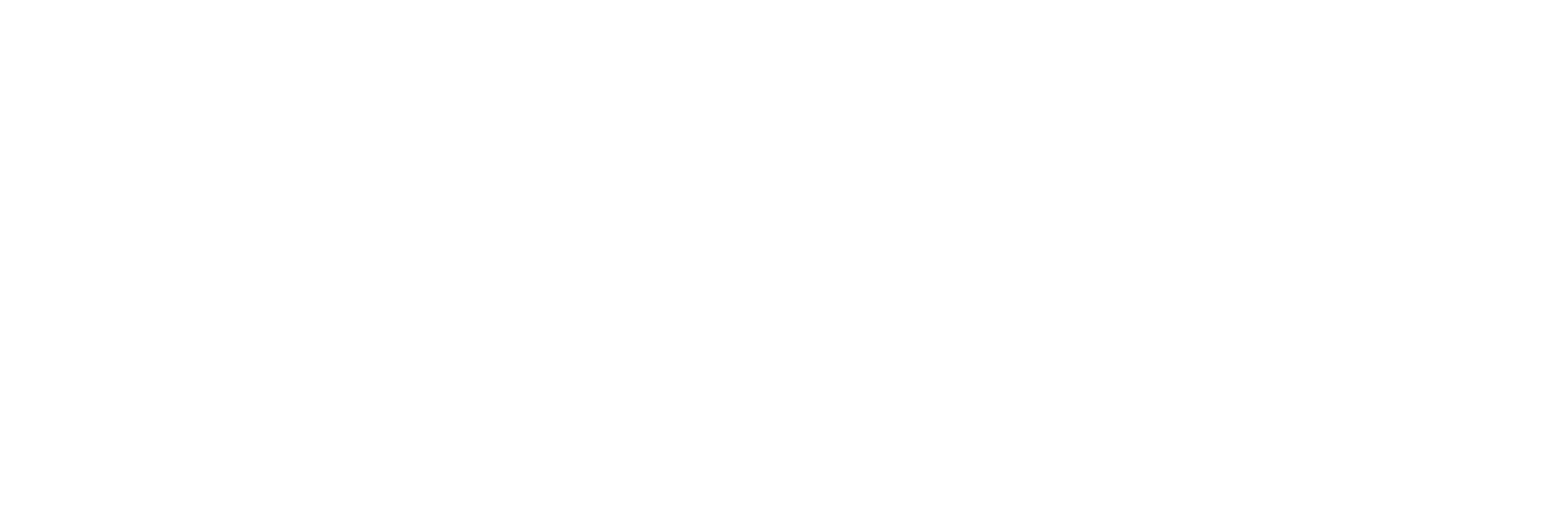 LOGO WOD NUTRITION 2024 - horizontal 02